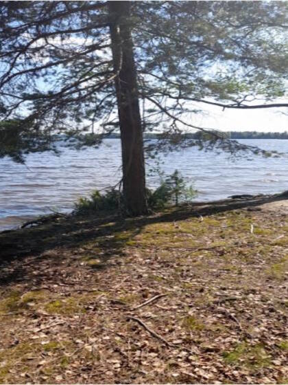 Koronniemi